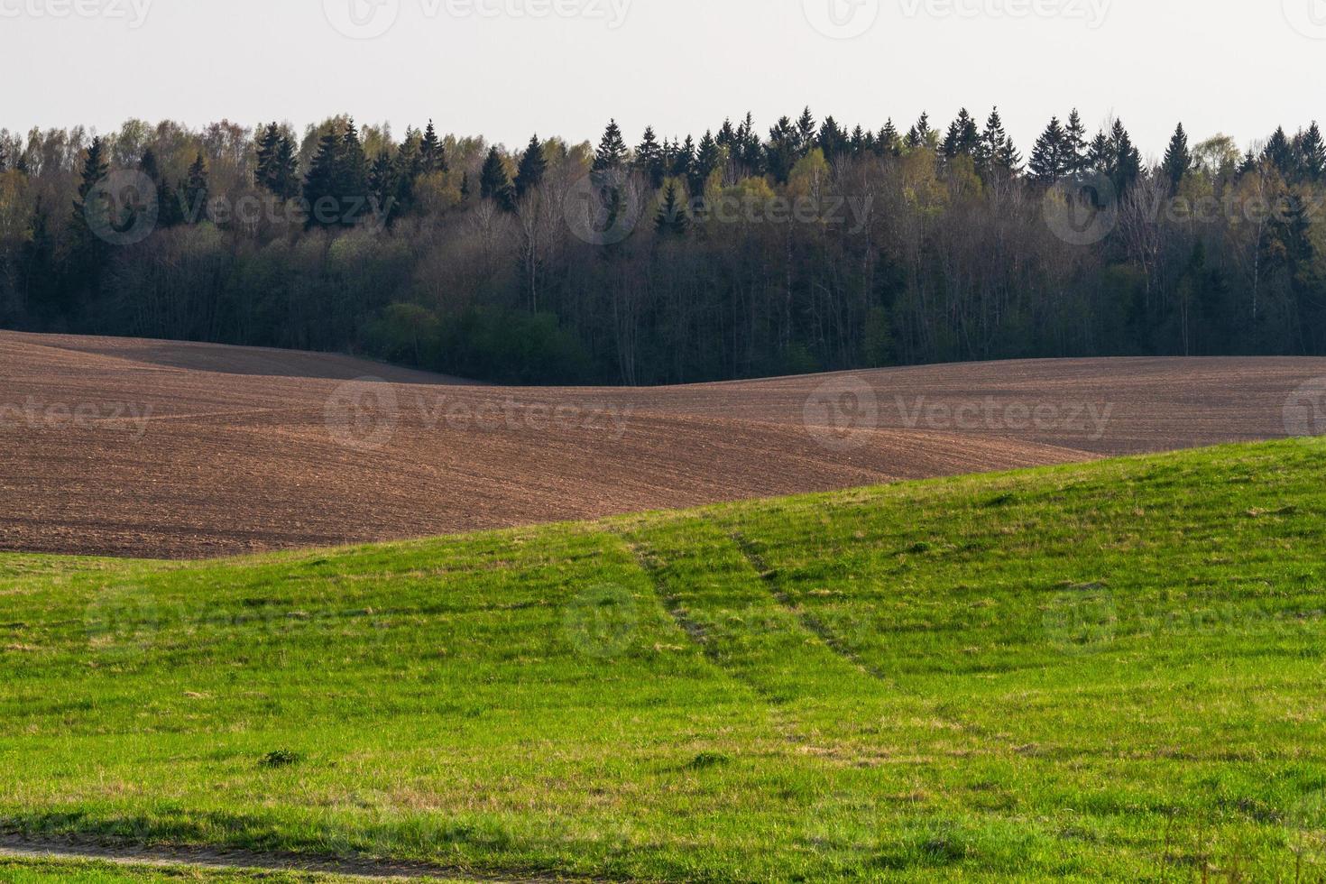 paisagens da primavera letã foto