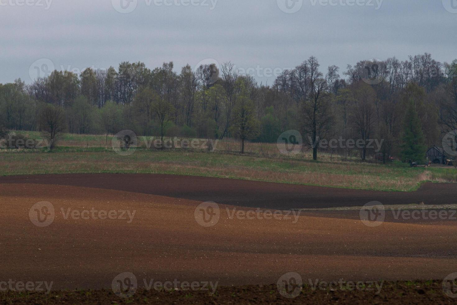 paisagens da primavera letã foto