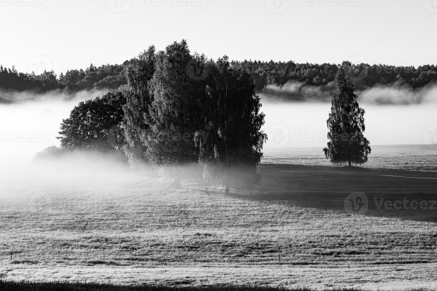 paisagens da letônia no verão foto