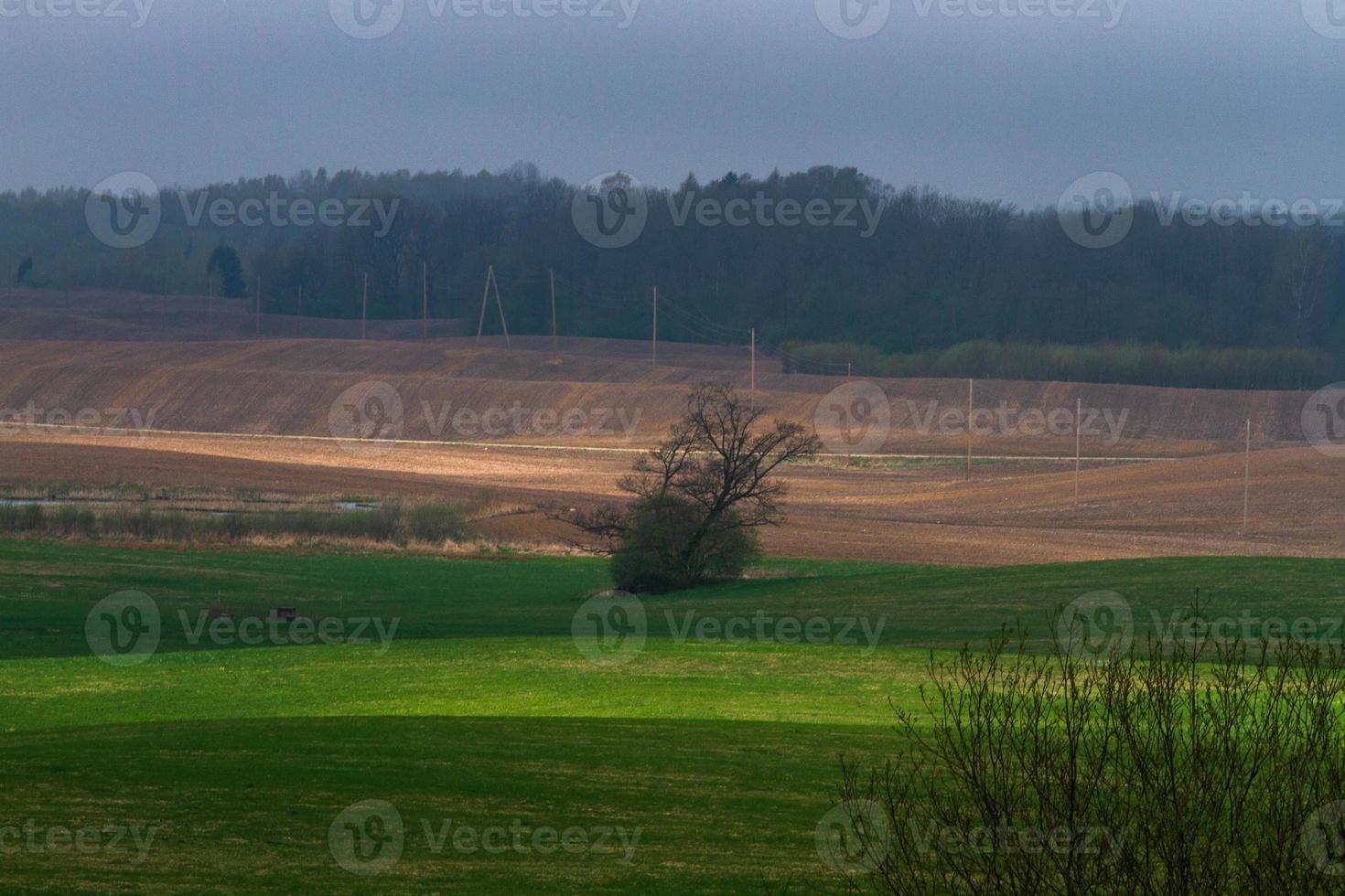 paisagens da primavera letã foto