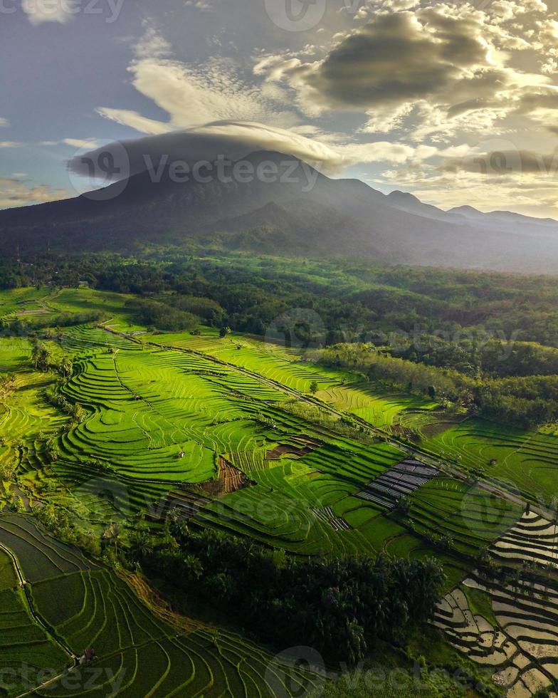 bela vista matinal da Indonésia. vista panorâmica de campos de arroz e montanhas quando o arroz está verde foto