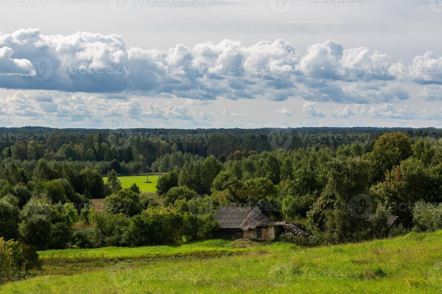 paisagens de verão na letônia foto