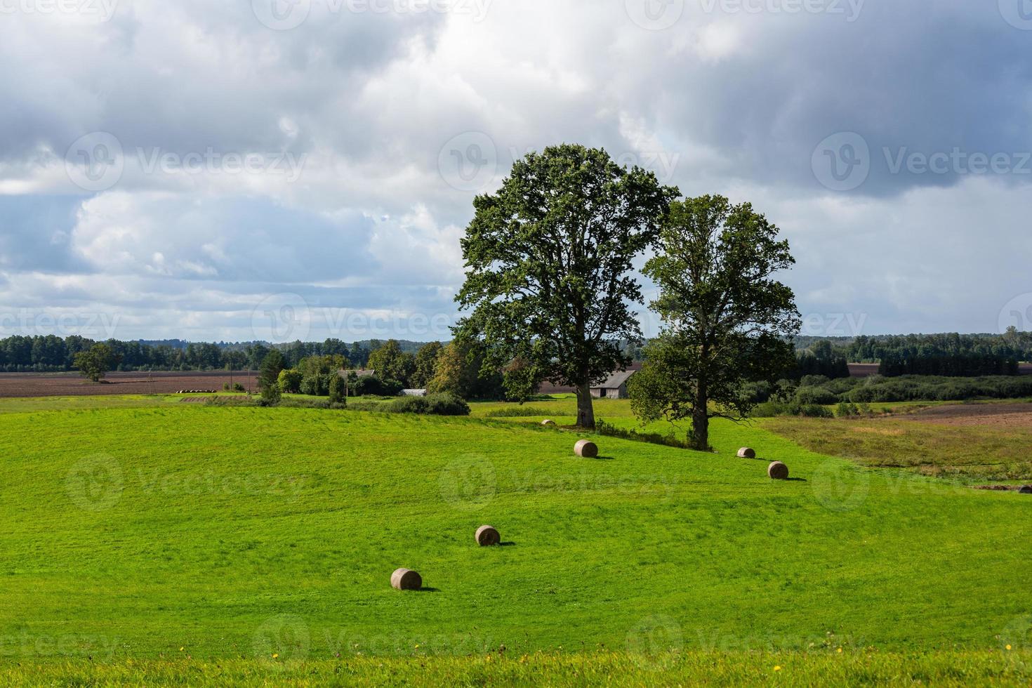 paisagem de outono letão foto