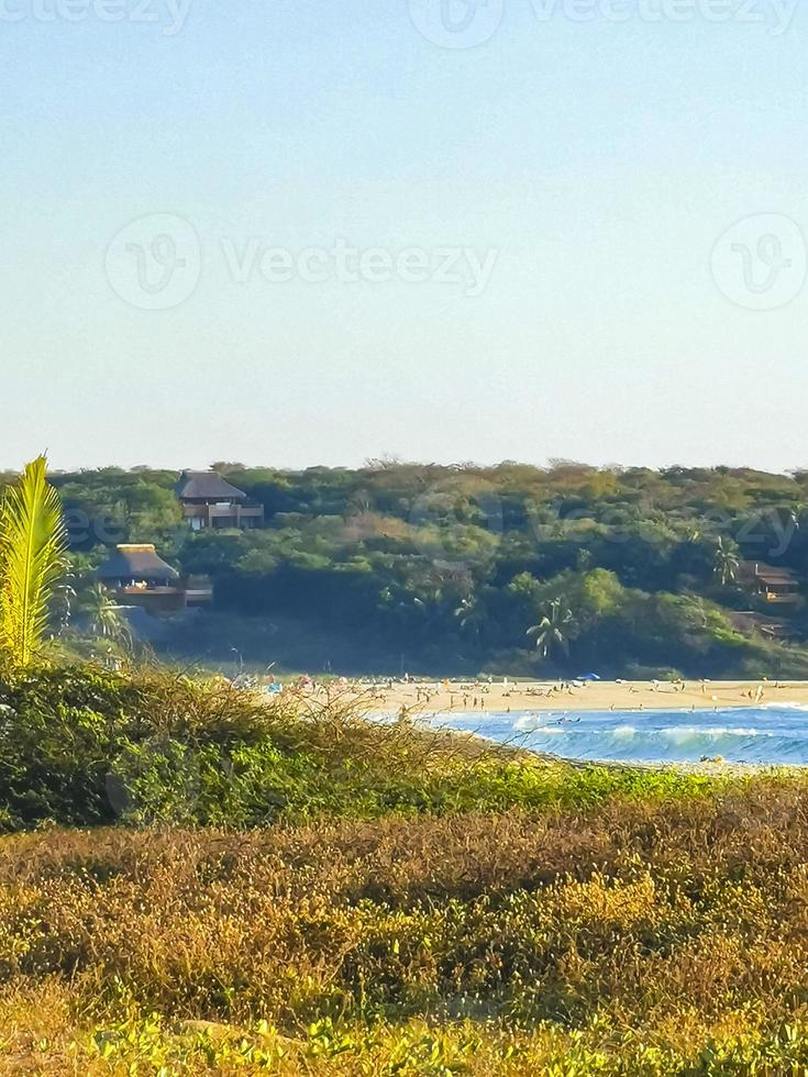 natureza falésias rochas prado praia ondas palma em zicatela méxico. foto