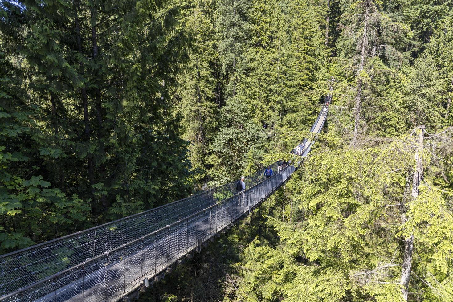 ponte pênsil capilano foto