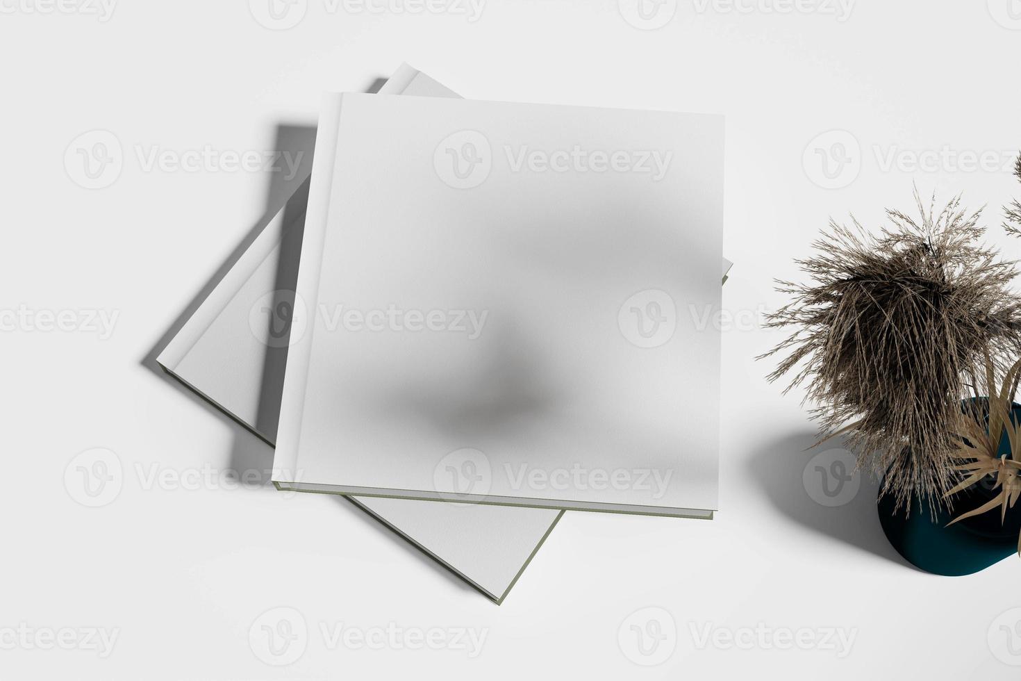 maquete dupla de capa de livro foto