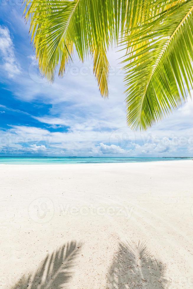 bela paisagem de viagem, natureza de praia ensolarada. folhas de palmeira e areia branca perto do mar azul. paisagem tropical, cenário de praia para férias de verão e banner de férias. vista inspiradora da natureza foto