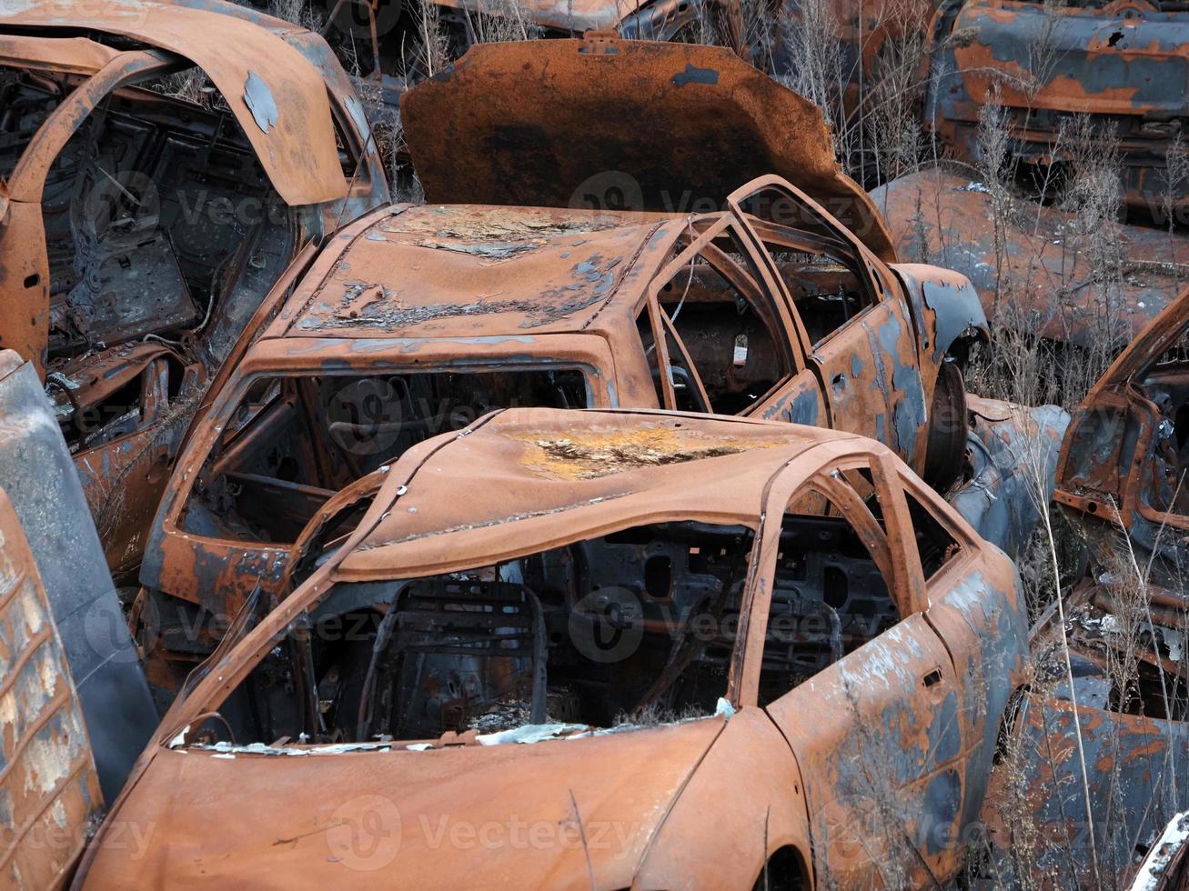 campo de carro enferrujado velho ferro-velho foto