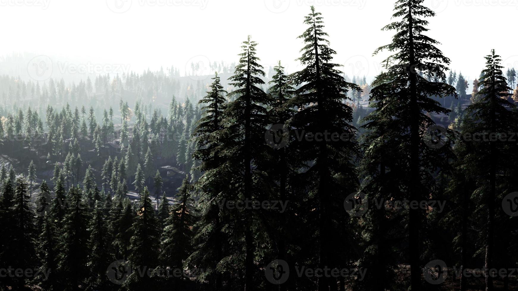 pôr do sol colorido ou nascer do sol nas montanhas com floresta de pinheiros e névoa foto