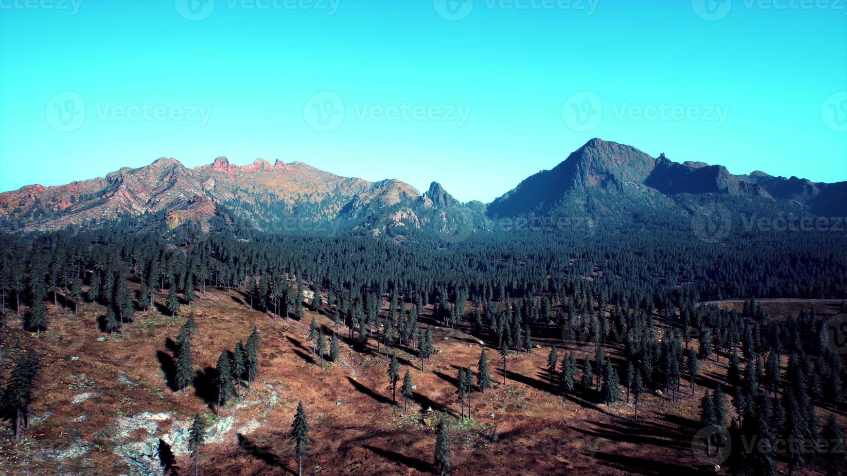 montanhas cobertas de bosques na névoa da manhã foto