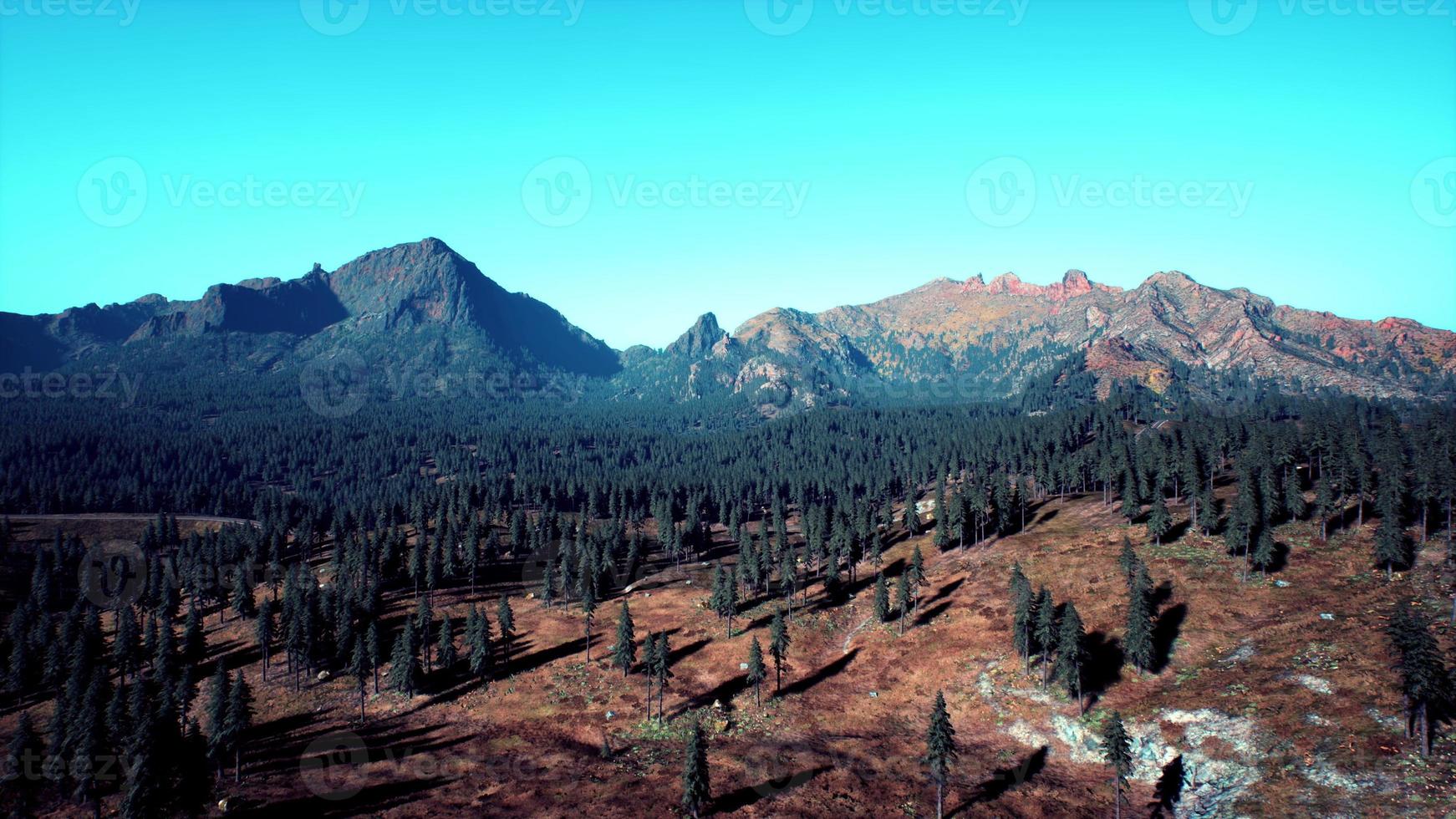 abetos e pinheiros e montanhas do colorado foto