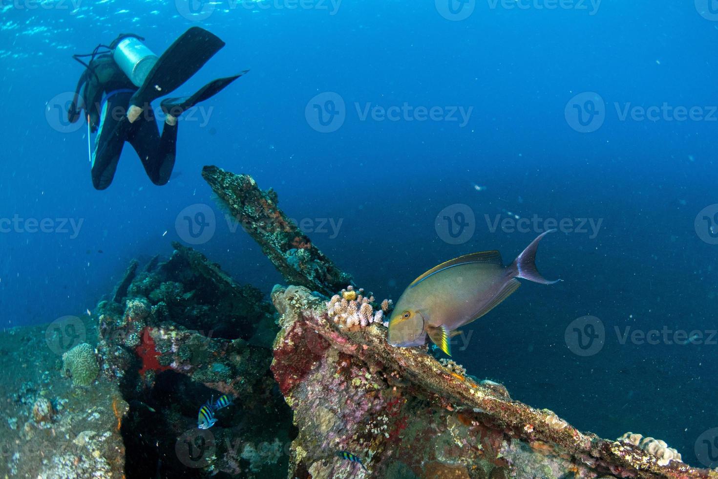 naufrágio do navio da liberdade em bali indonésia oceano índico foto