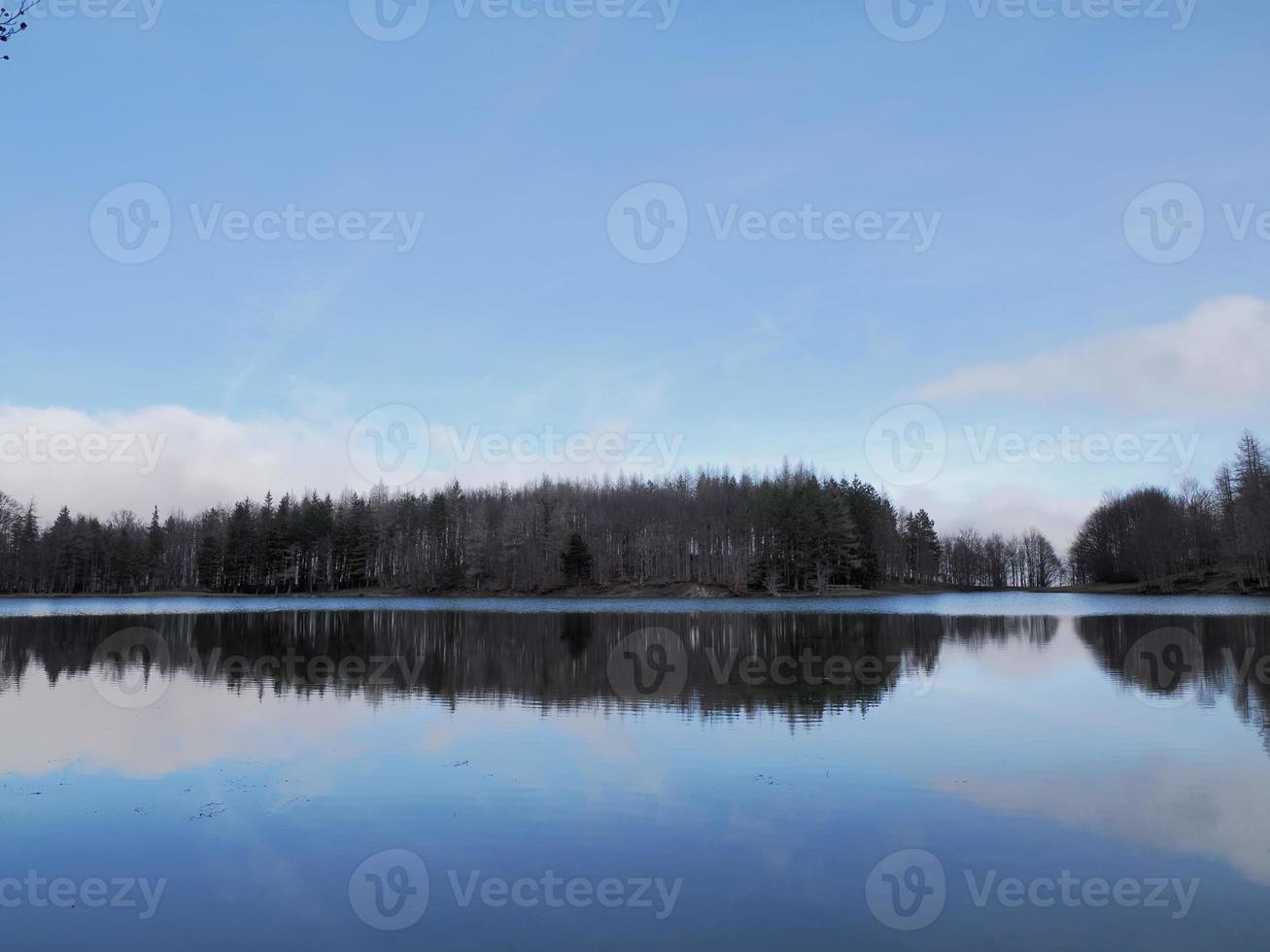 floresta de faias com uma árvore muito velha no lago calamone ventasso itália foto