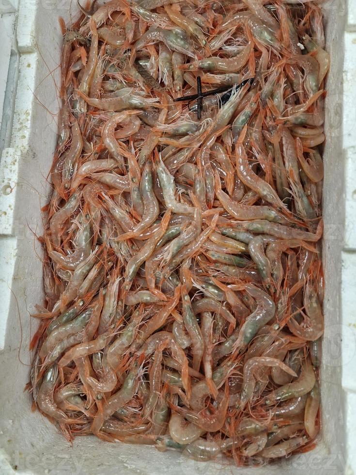 camarões mediterrâneos vermelhos frescos em uma caixa no mercado de peixe foto