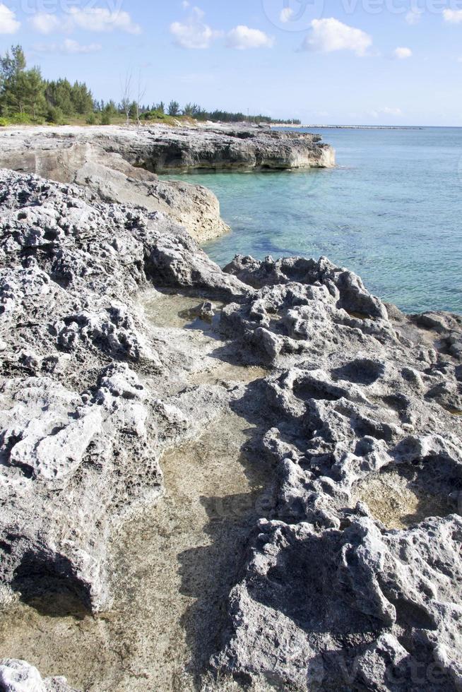 grande bahama costa rochosa erodida foto