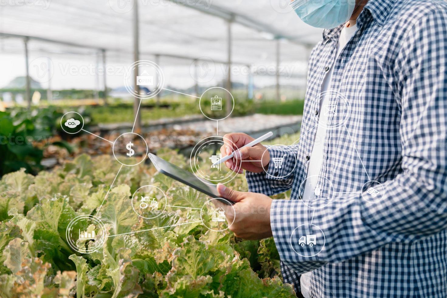 mulher agricultora de tecnologia agrícola segurando a tecnologia tablet ou tablet para pesquisar sobre dados de análise de problemas agrícolas e ícone visual. foto