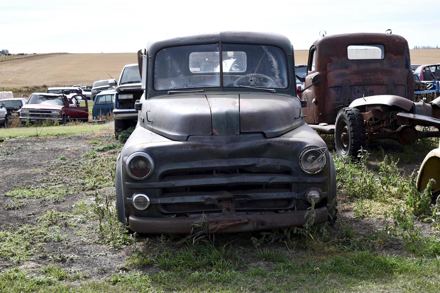 caminhões velhos em um campo foto