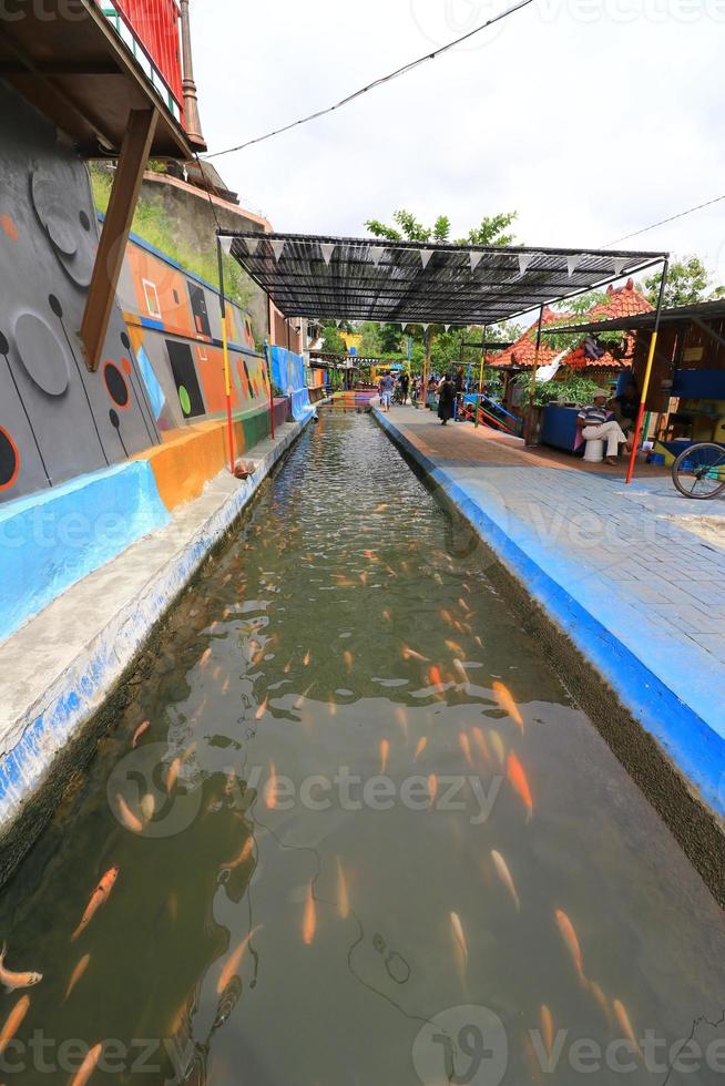 belo peixe koi na lagoa no jardim, peixes debaixo d'água, peixes carpas foto