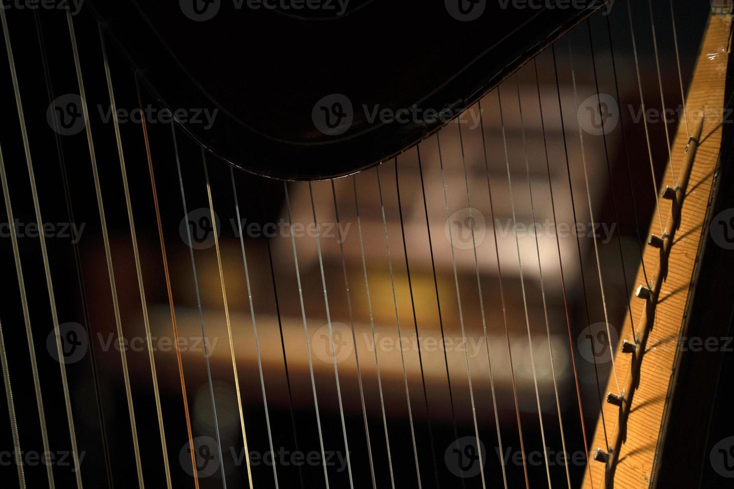 detalhe de cordas de harpa isolado em preto foto