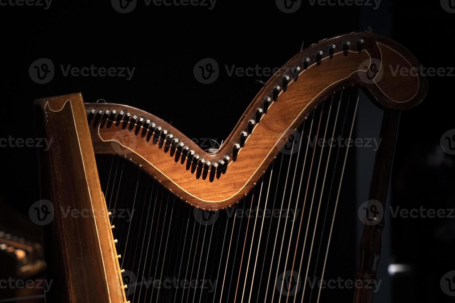 detalhe de cordas de harpa isolado em preto foto