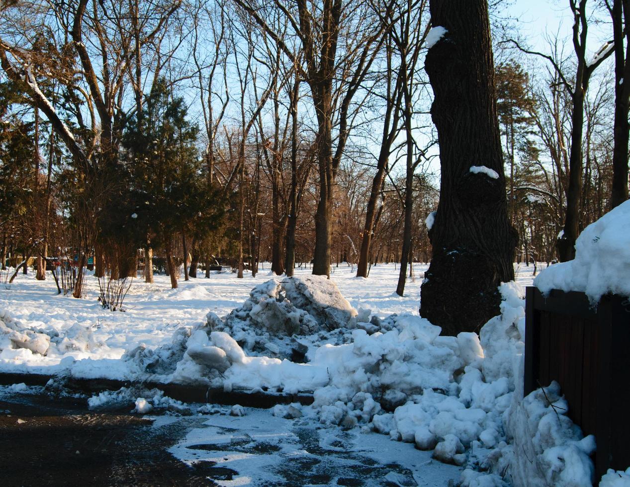 estacionar durante o inverno foto