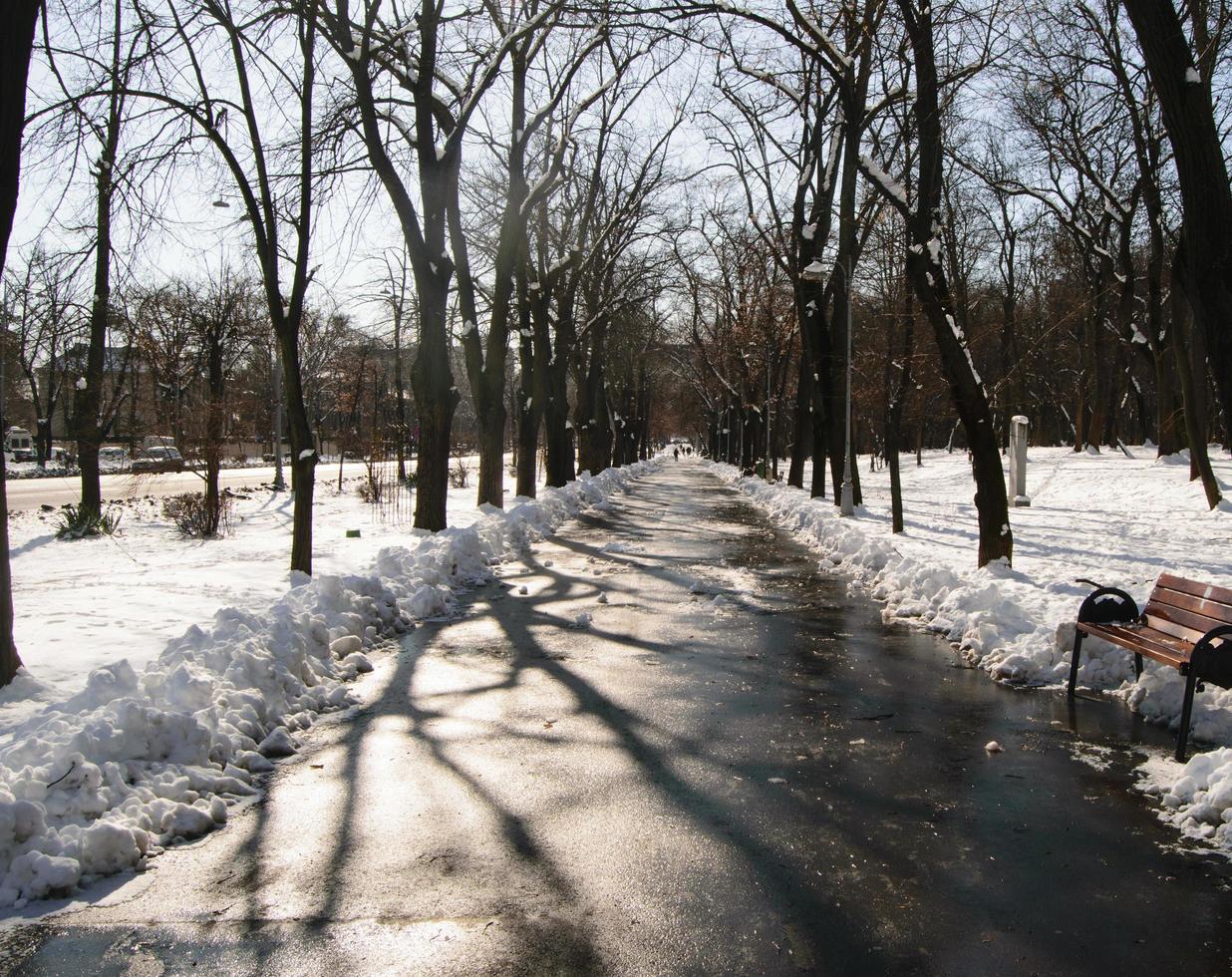 passarela do parque no inverno foto