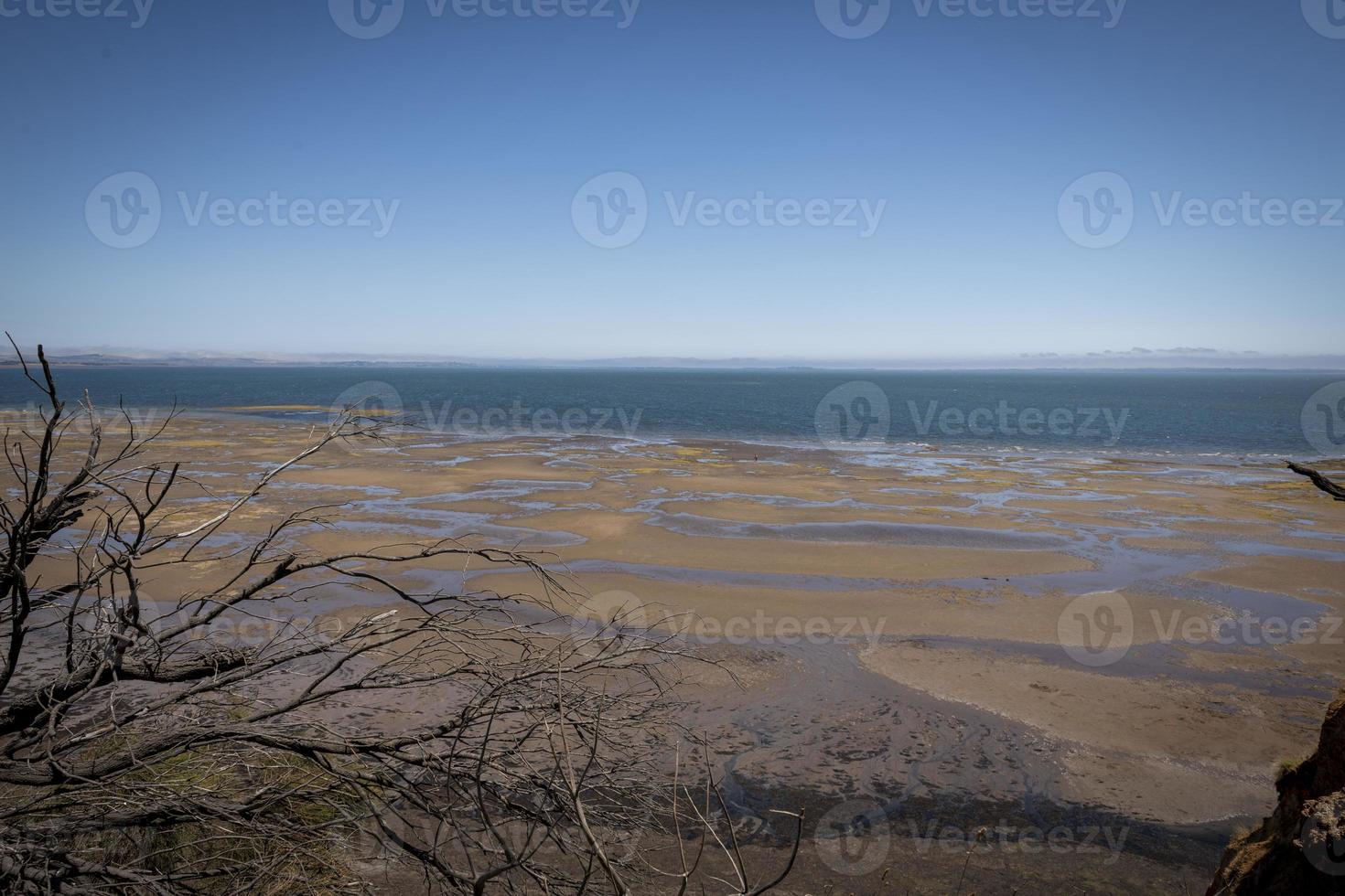 coronet bay victoria austrália foto