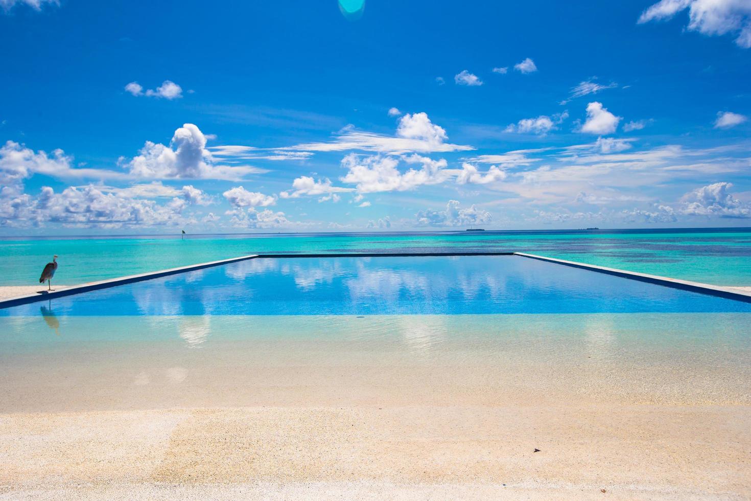 piscina infinita perto do oceano foto
