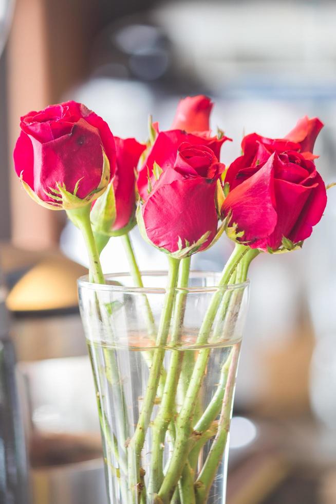 rosas vermelhas em um vaso foto