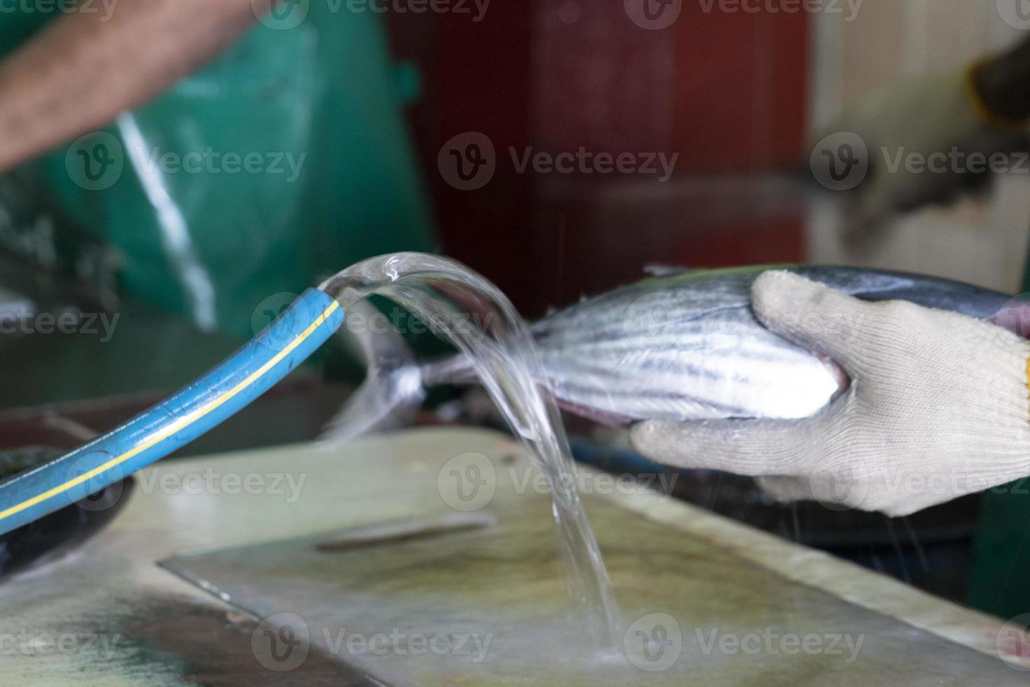 maldivas masculinas limpando as mãos de peixe no mercado foto