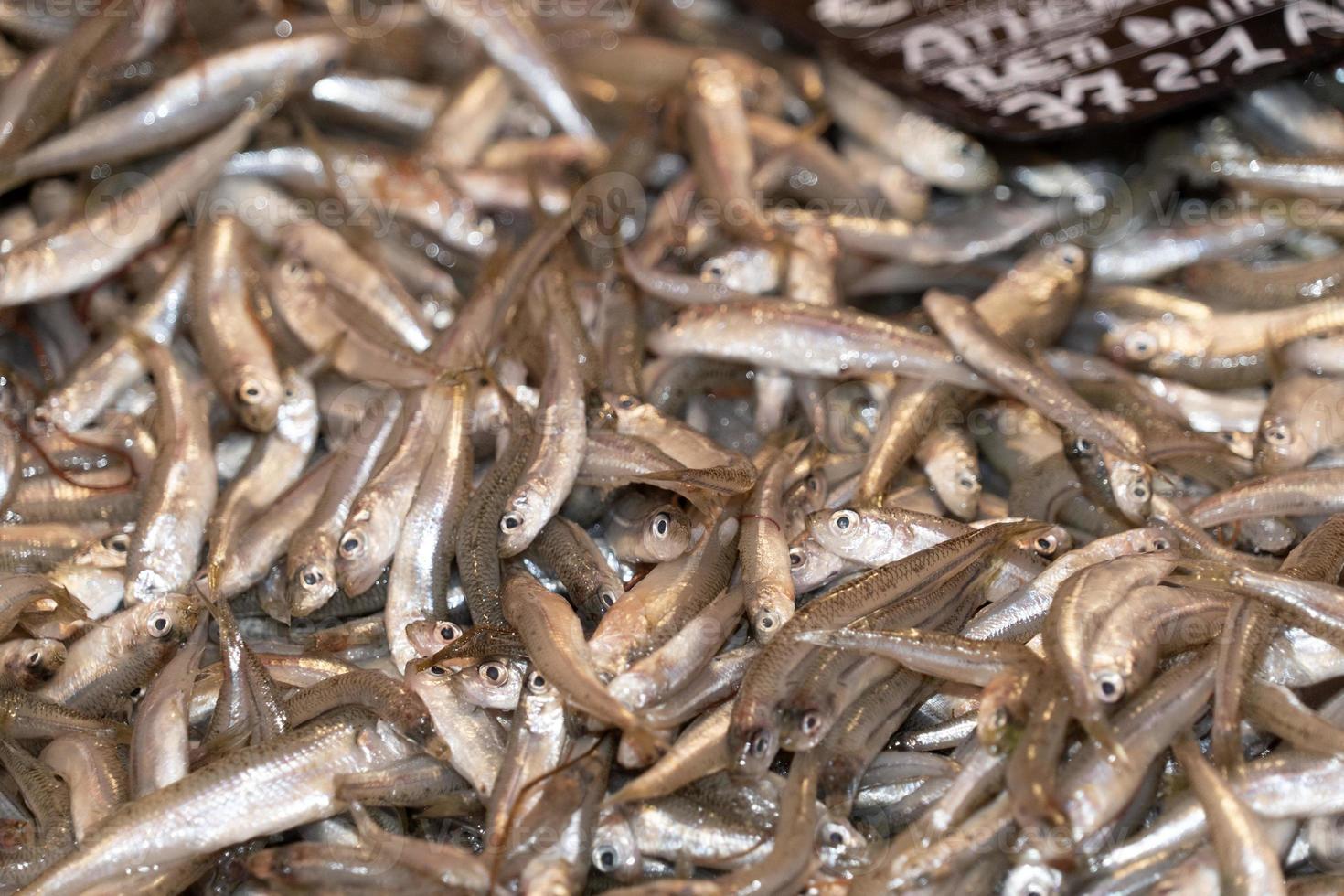 sardinhas frescas no mercado de peixe foto