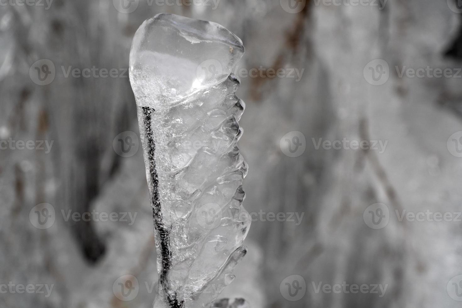 pingentes de gelo congelado em galhos de árvores foto