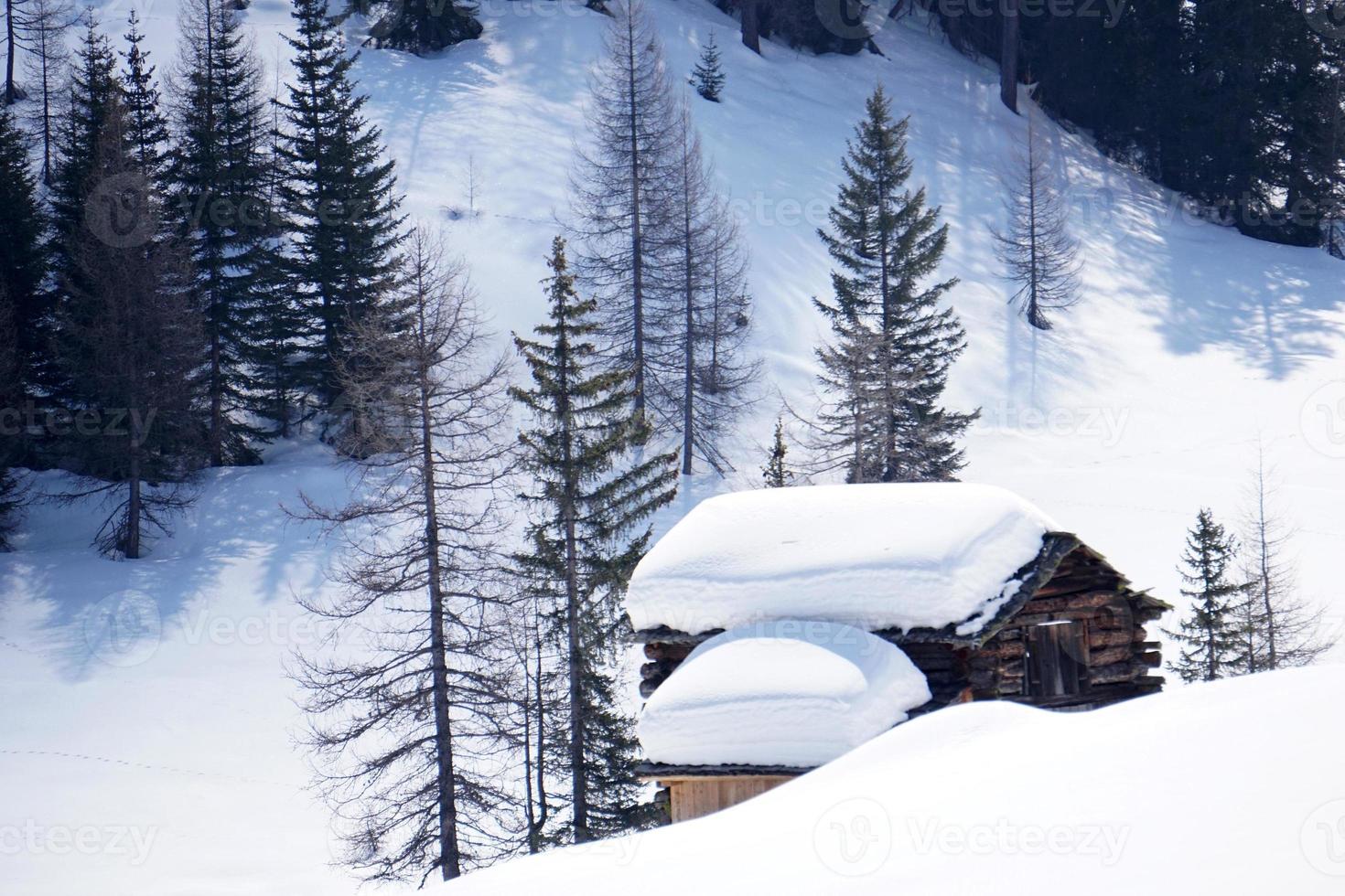 cabana de madeira no fundo da neve do inverno foto