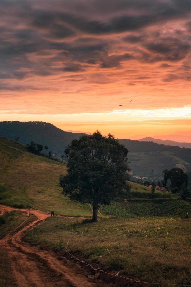 paisagem no campo ao nascer do sol foto