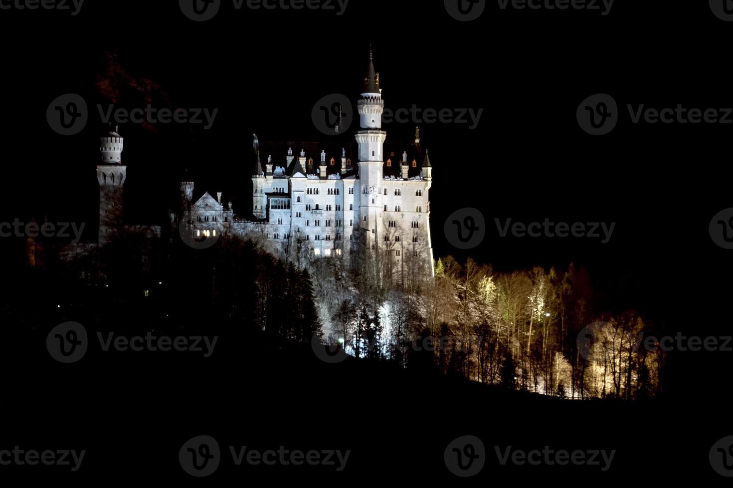 castelo neuschwanstein à noite no inverno foto