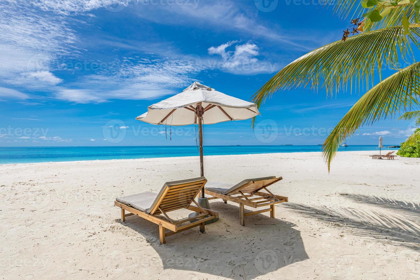 bela paisagem de praia. férias de verão e conceito de férias. praia tropical inspiradora. bandeira de fundo de praia. cena de viagem dos sonhos. bela palmeira sobre a praia de areia branca. visão da natureza de verão foto