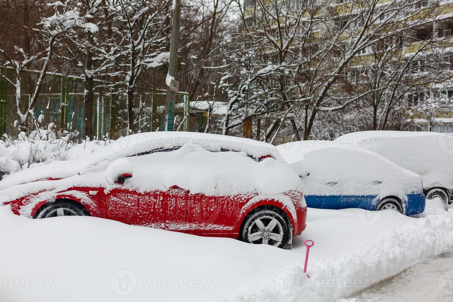 carros cobertos com neve branca fresca foto