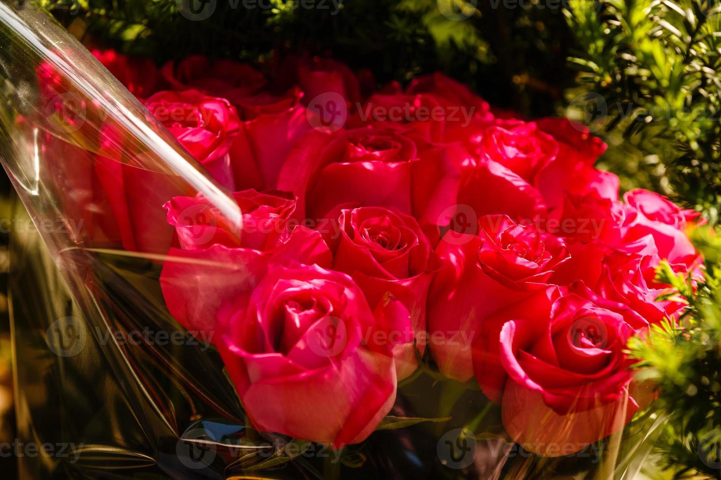 vista superior do buquê de tulipas cor de rosa em papel de embrulho nas mãos foto