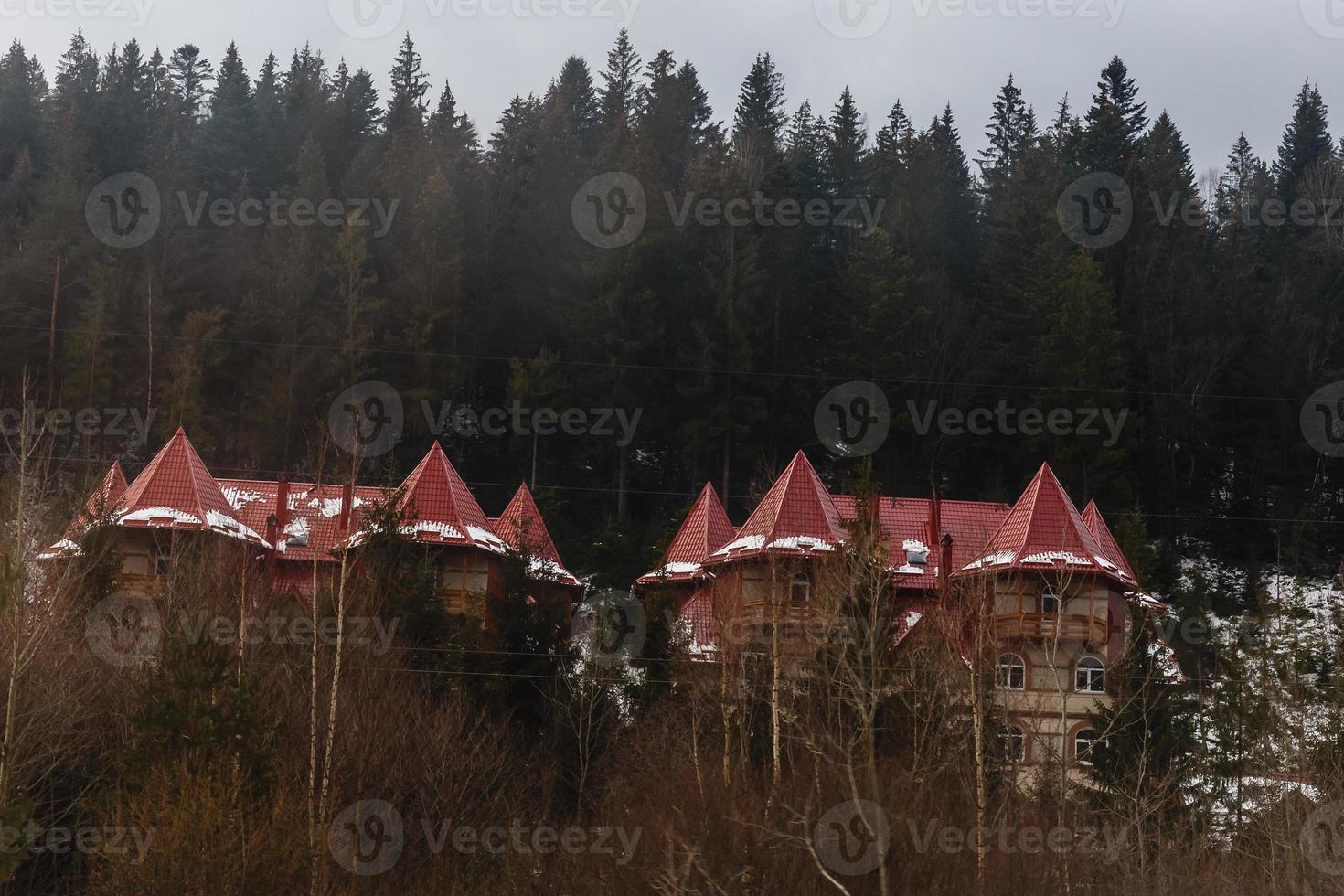 casas antigas com árvores verdes, mansão com um belo telhado nas montanhas foto