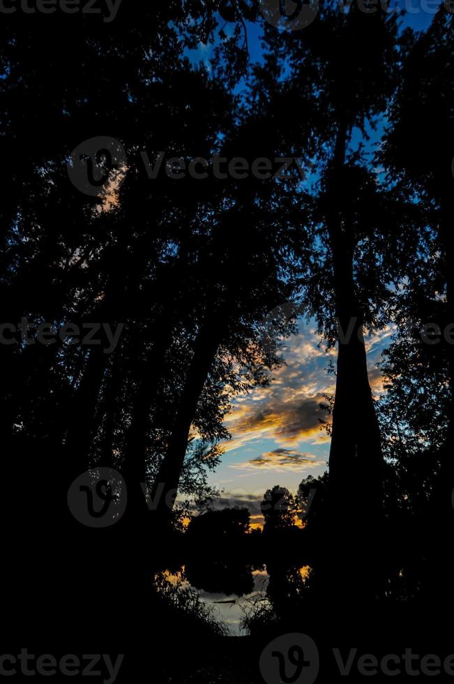 bela vista de um rio foto