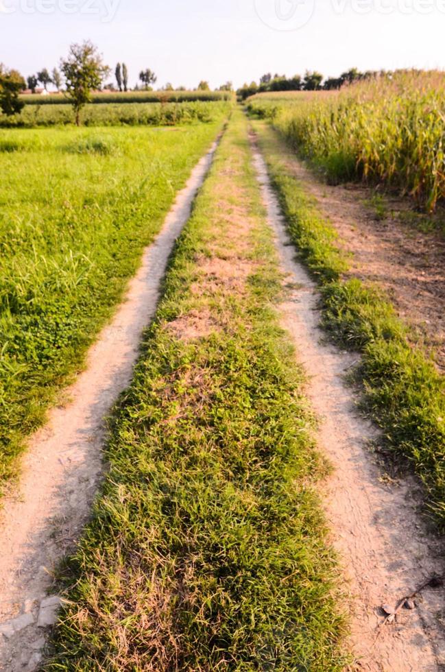 estrada de terra rural foto