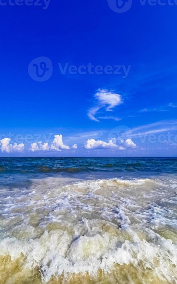 tropical mexicana praia águas turquesas playa del carmen mexico. foto