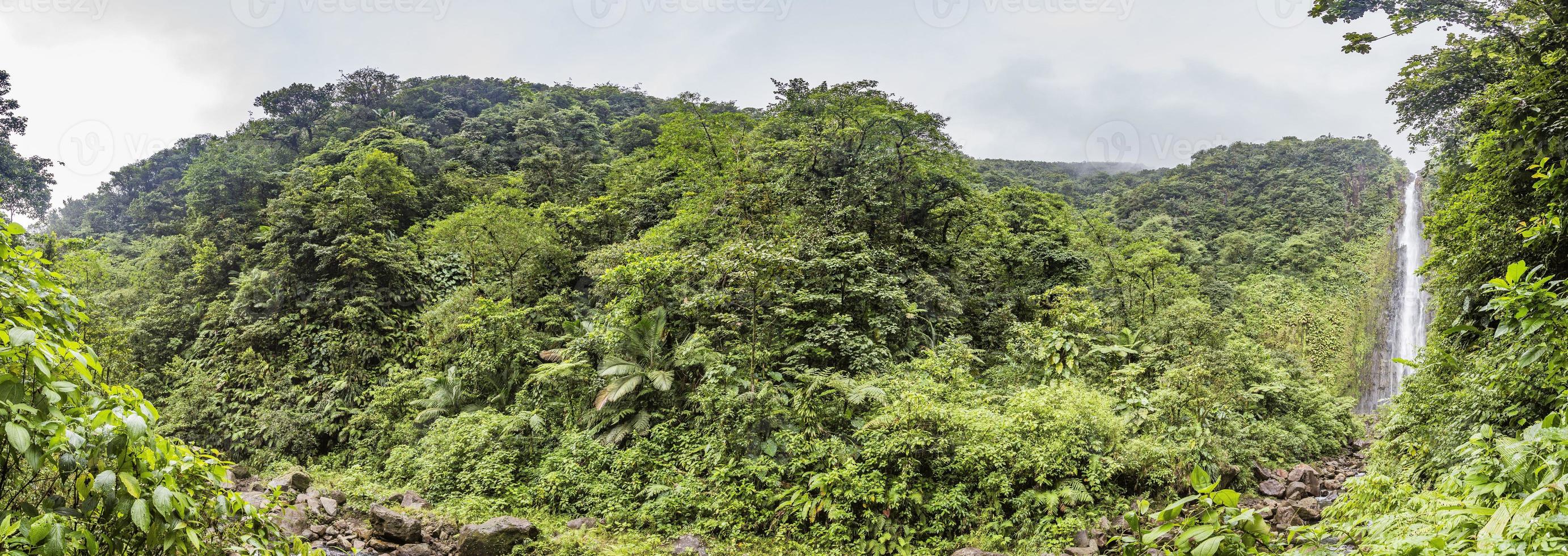 imagem panorâmica de uma cachoeira na floresta tropical na ilha dominca durante o dia foto