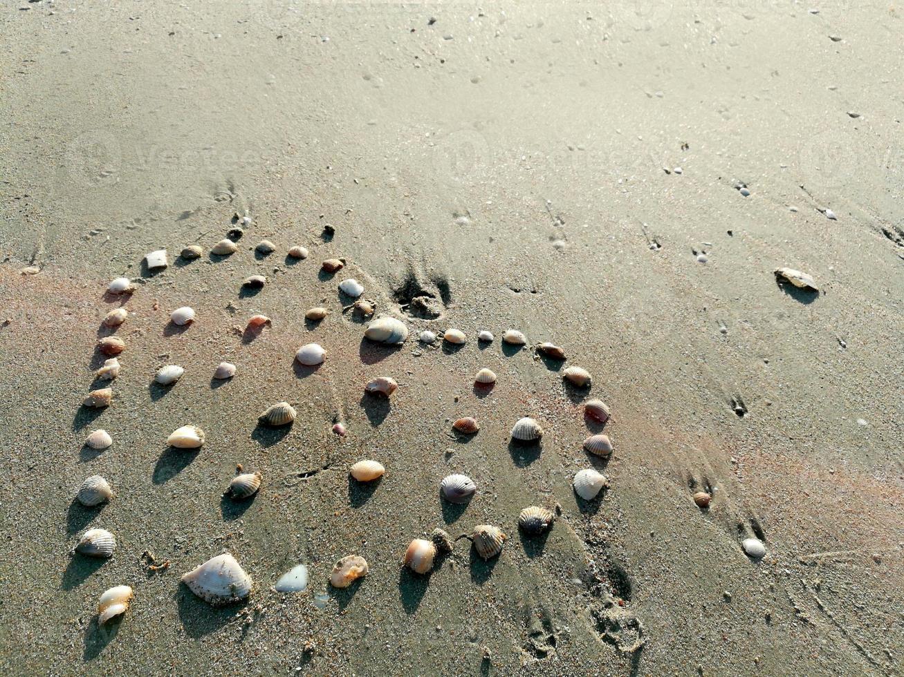 concha do mar fechada faz corações arranjados na praia de areia cinza com luz do sol no verão foto