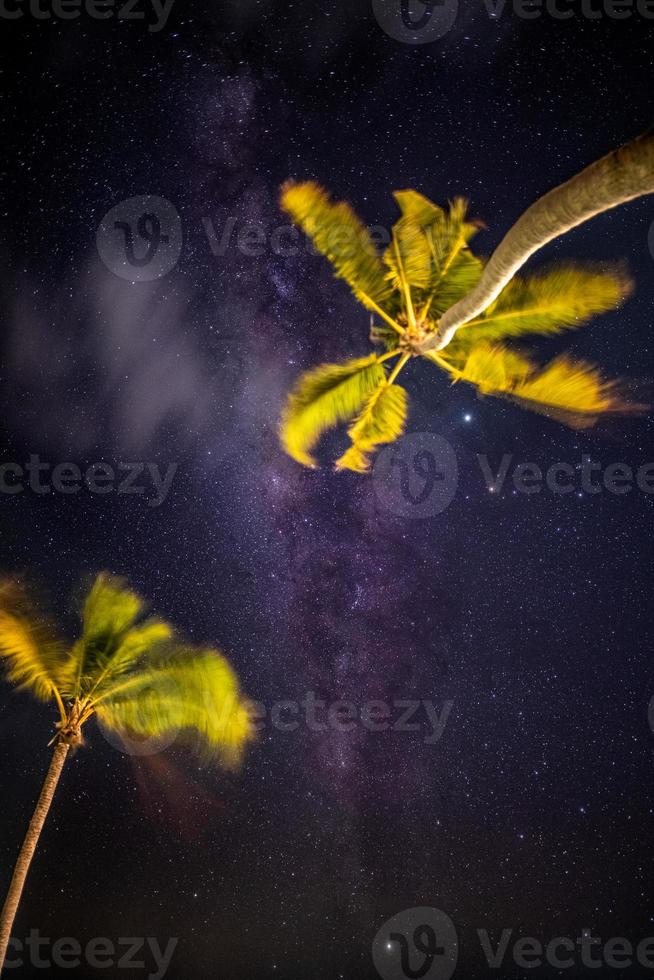 tiro noturno com palmeiras e via láctea ao fundo, noite quente tropical. vista da natureza noturna tranquila, estrelas e palmeiras movendo-se ao vento foto