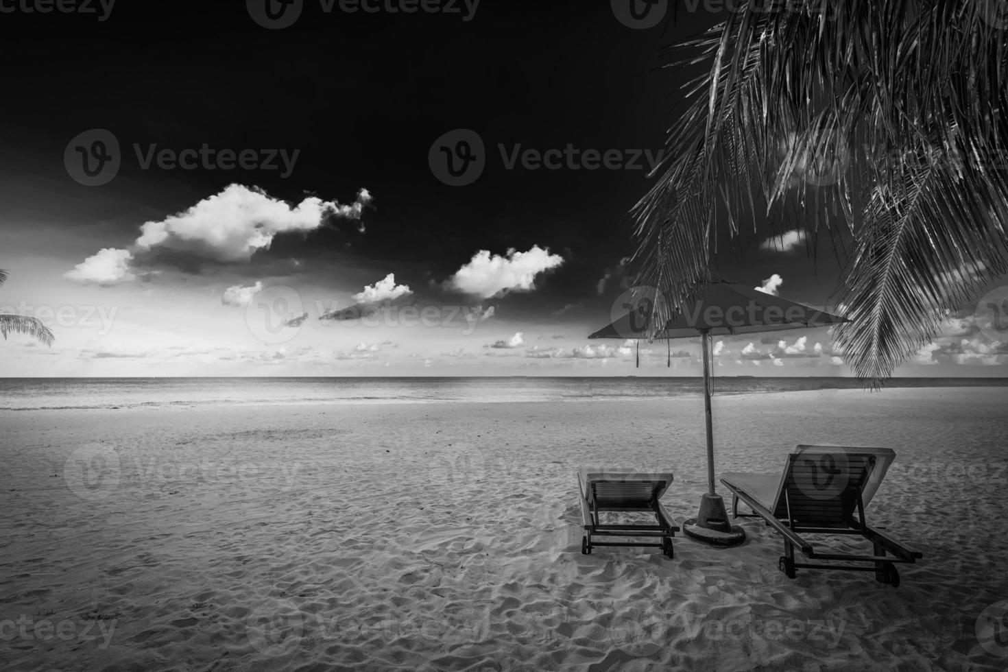 vista em preto e branco da bela praia com folhas de palmeiras, dramática areia branca e macia do céu escuro. panorama monocromático exótico. casal meditação inspiração paisagem, praia paradisíaca tranquilo mínimo foto