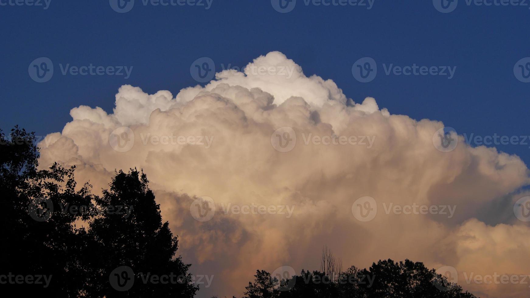 grande nuvem cumulonimbus silhueta de árvore foto