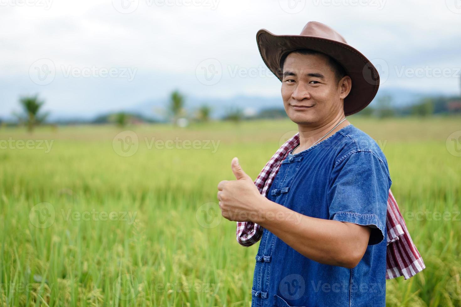 retrato do homem asiático agricultor usa chapéu, camisa azul, polegares para cima, sente-se confiante, fica no campo de arroz. conceito, ocupação agrícola. agricultores tailandeses cultivam arroz orgânico. copie o espaço para adicionar texto. foto