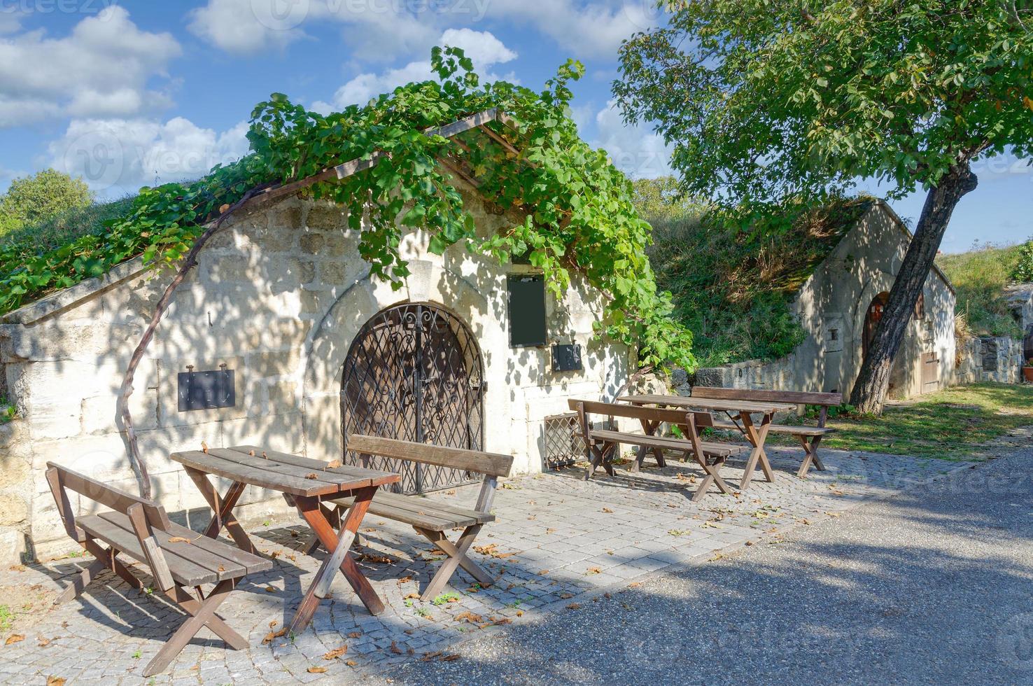 adega tradicional chamada kellergasse em breitenbrunn, neusiedler see, burgenland, áustria foto