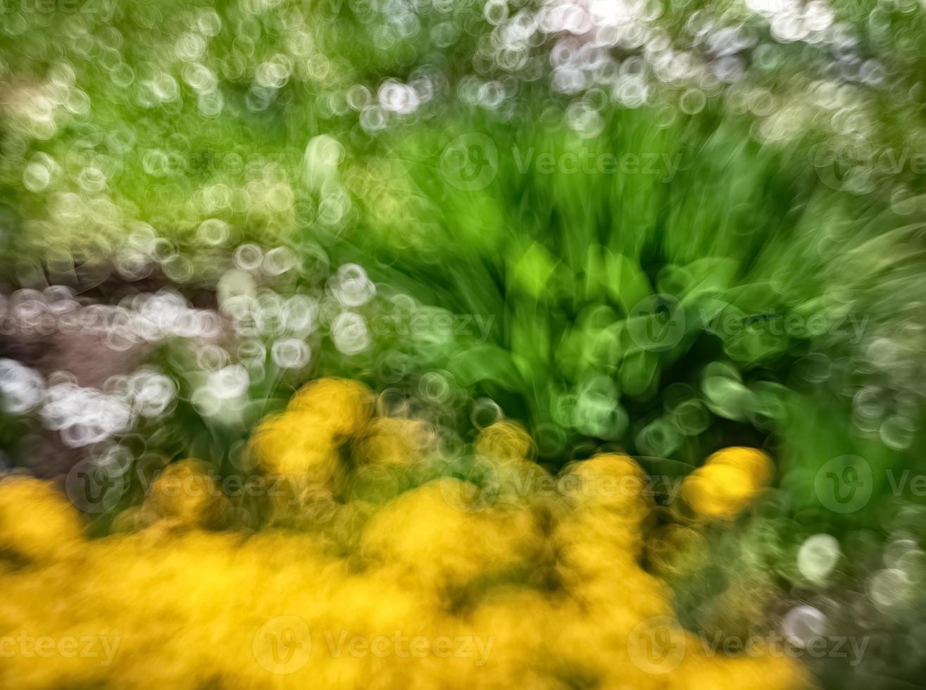 imagem borrada abstrata de um jardim de primavera foto